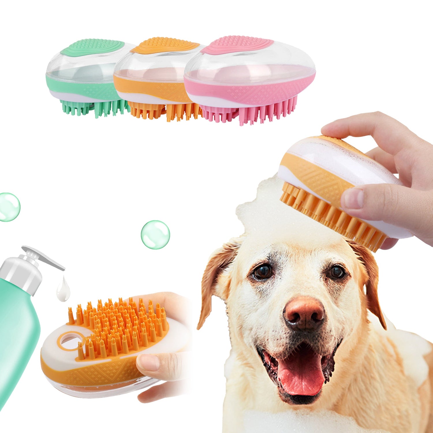 Pet Accessories